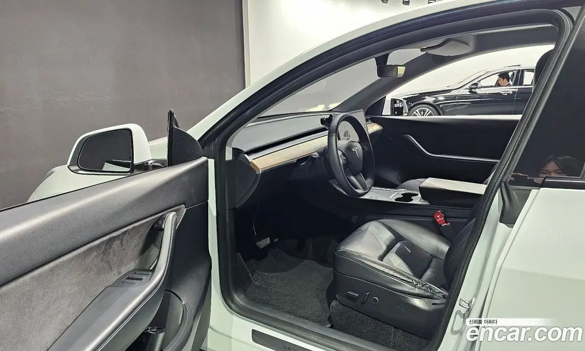 Tesla Model Y 2021 0.2 автомат (гидро), фото 10