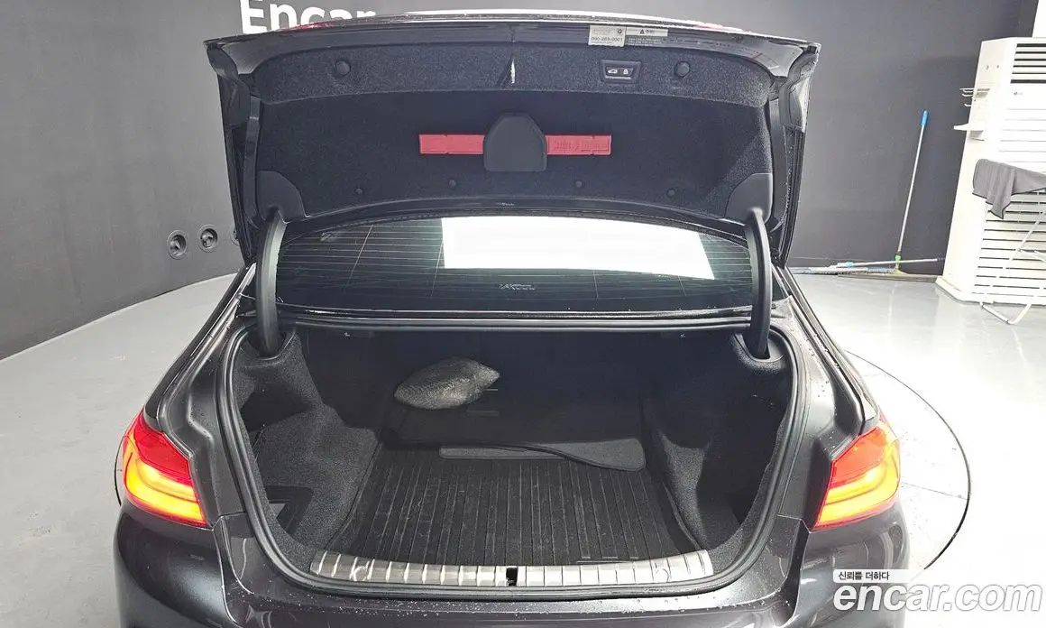 BMW 5 серия 2020 2.0 автомат (гидро), фото 25