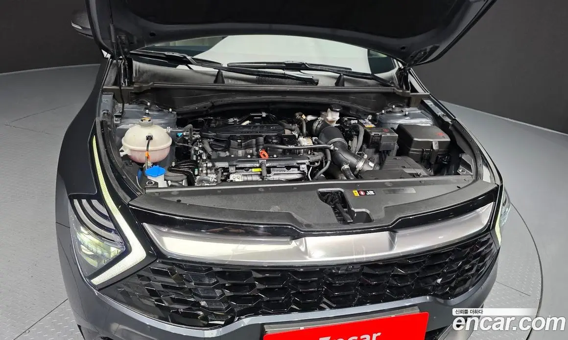 Kia Sportage 2024 1.6 автомат (гидро), фото 6