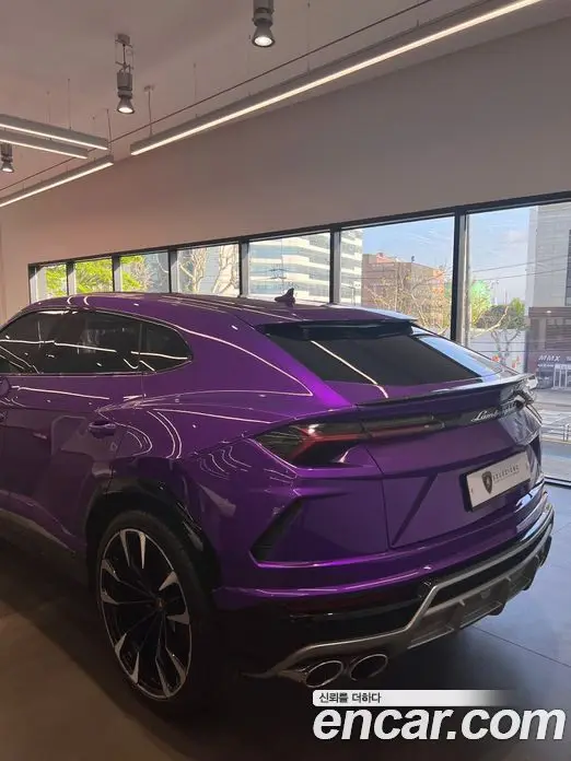 Lamborghini Urus 2021 4.0 автомат (гидро), фото 14