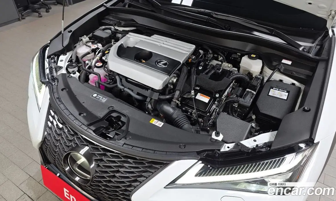 Lexus UX 2023 2.0 автомат (гидро), фото 5