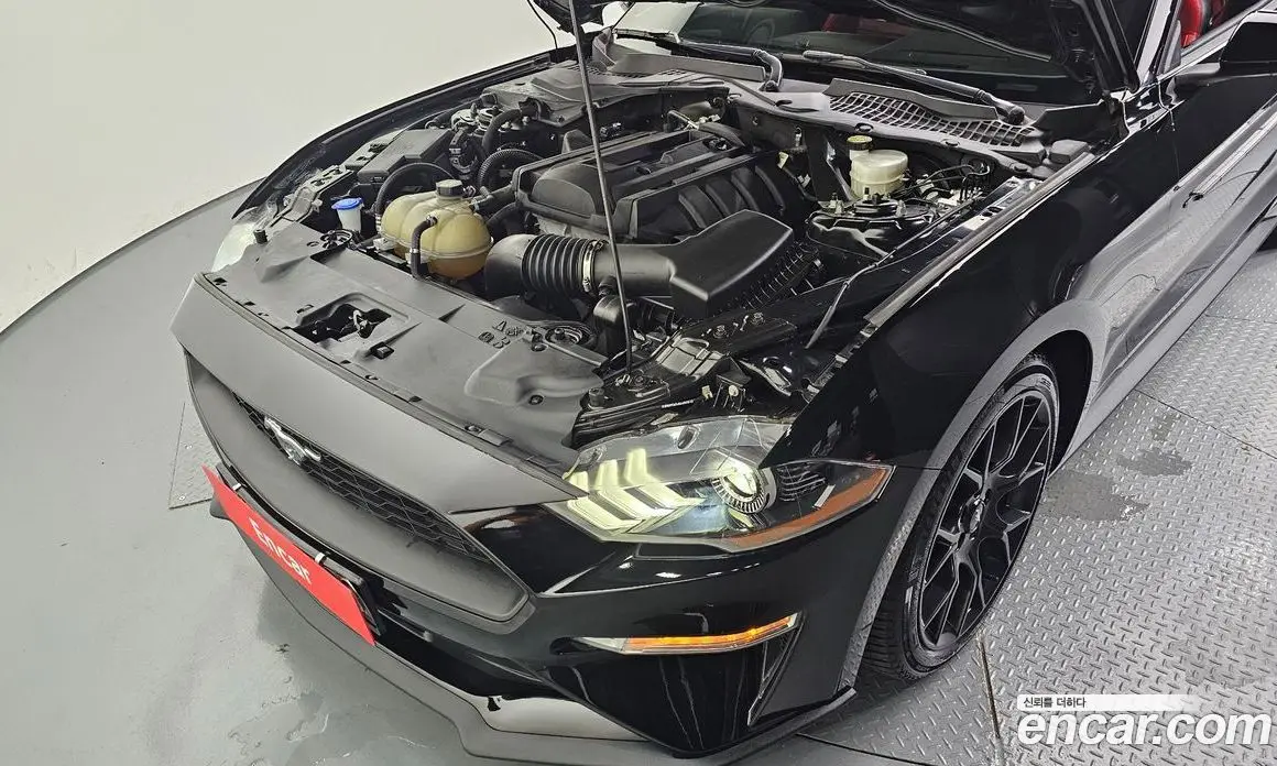 Ford Mustang 2022 2.3 автомат (гидро), фото 6