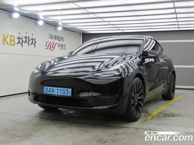 Tesla Model Y, 2022, 95 123 км