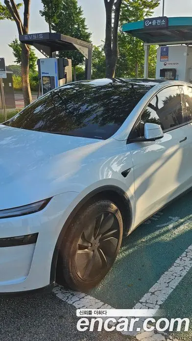 Tesla Model Y, 2025, 8 800 км