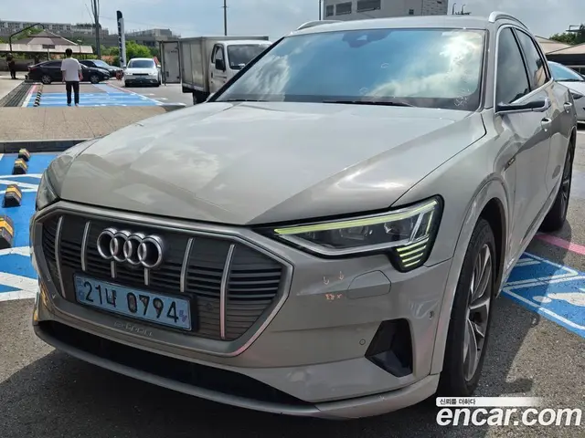 Audi e-tron, 2020, 269 835 км