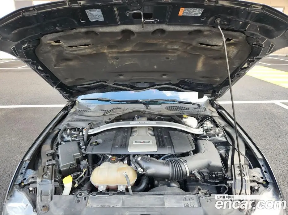 Ford Mustang 2019 5.0 автомат (гидро), фото 15