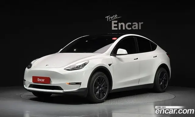 Tesla Model Y, 2021, 67 685 км