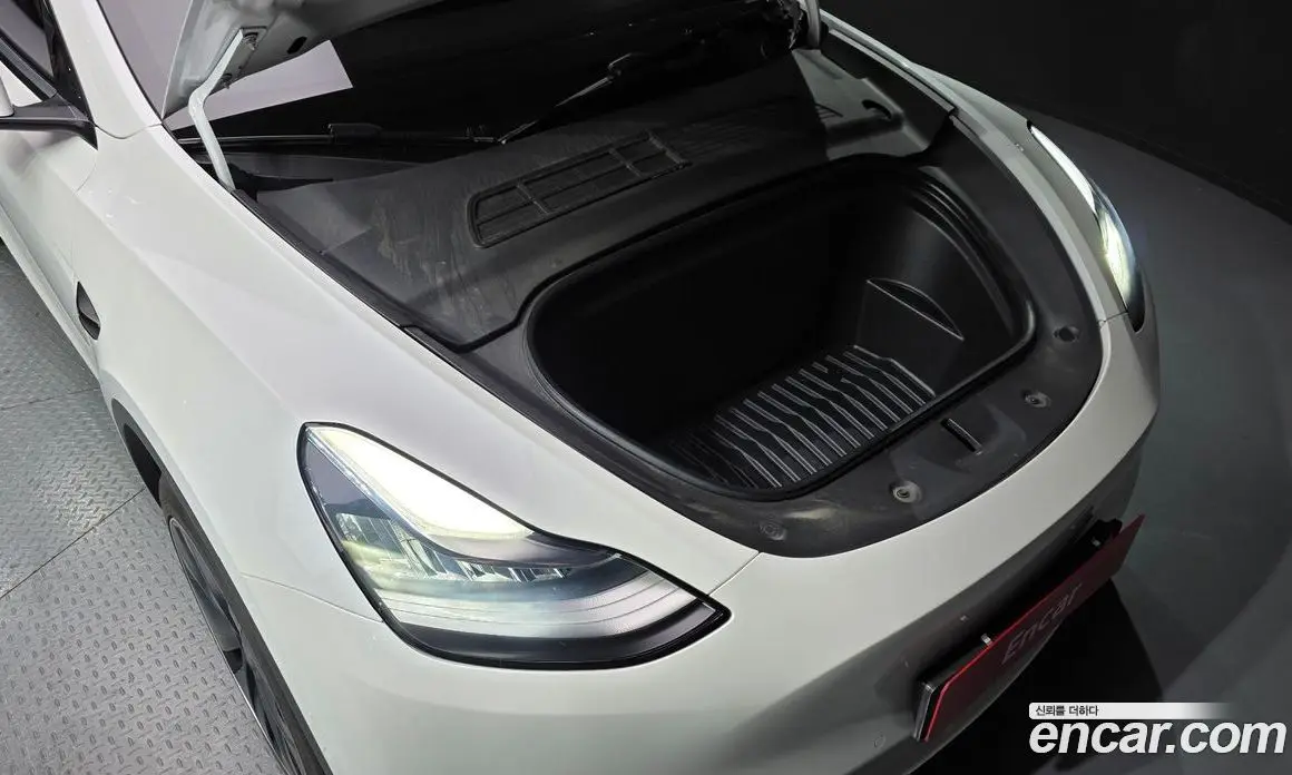 Tesla Model Y 2021 0.2 автомат (гидро), фото 6