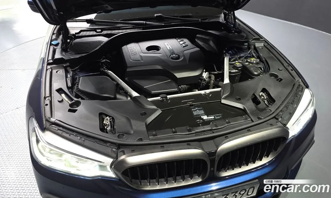 BMW 5 серия 2019 2.0 автомат (гидро), фото 6