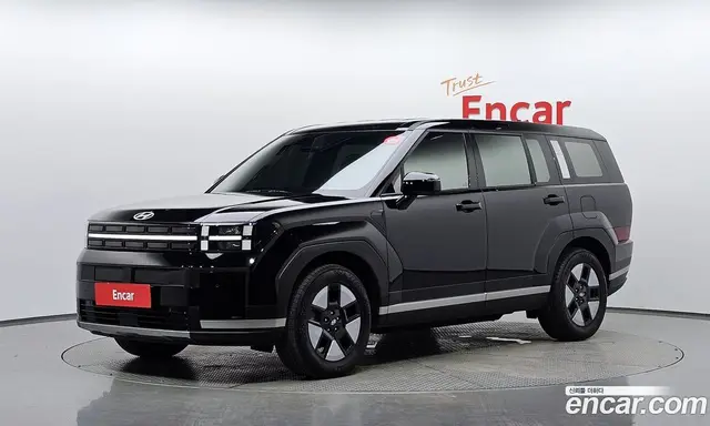Hyundai Santa Fe, 2024, 46 027 км
