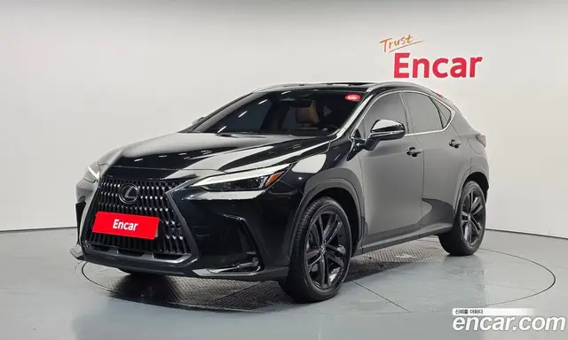 Lexus NX, 2023, 54 047 км