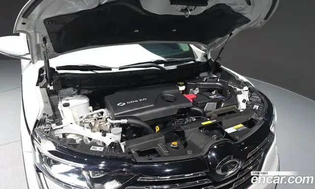 Renault (Samsung) QM6 2019 2.0 автомат (гидро), миниатюра 6