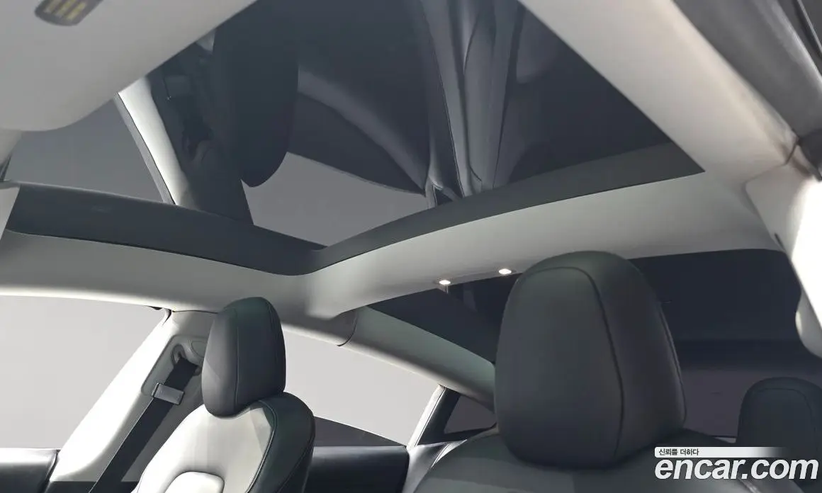 Tesla Model 3 2021 0.2 автомат (гидро), фото 24