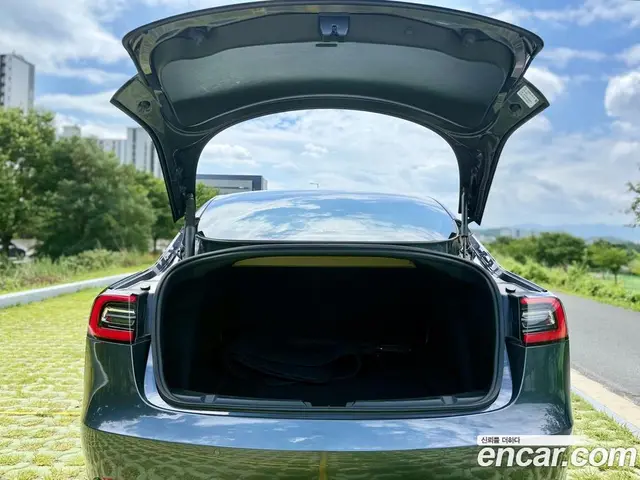 Tesla Model 3 2021 0.2 автомат (гидро), миниатюра 9
