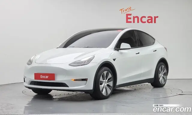 Tesla Model Y, 2021, 94 824 км