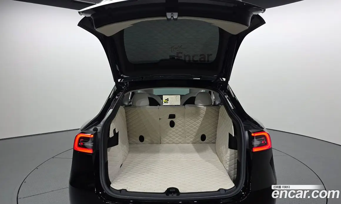 Tesla Model Y 2022 0.2 автомат (гидро), фото 20