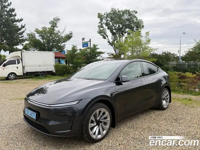 Tesla Model Y, 2025, 12 700 км