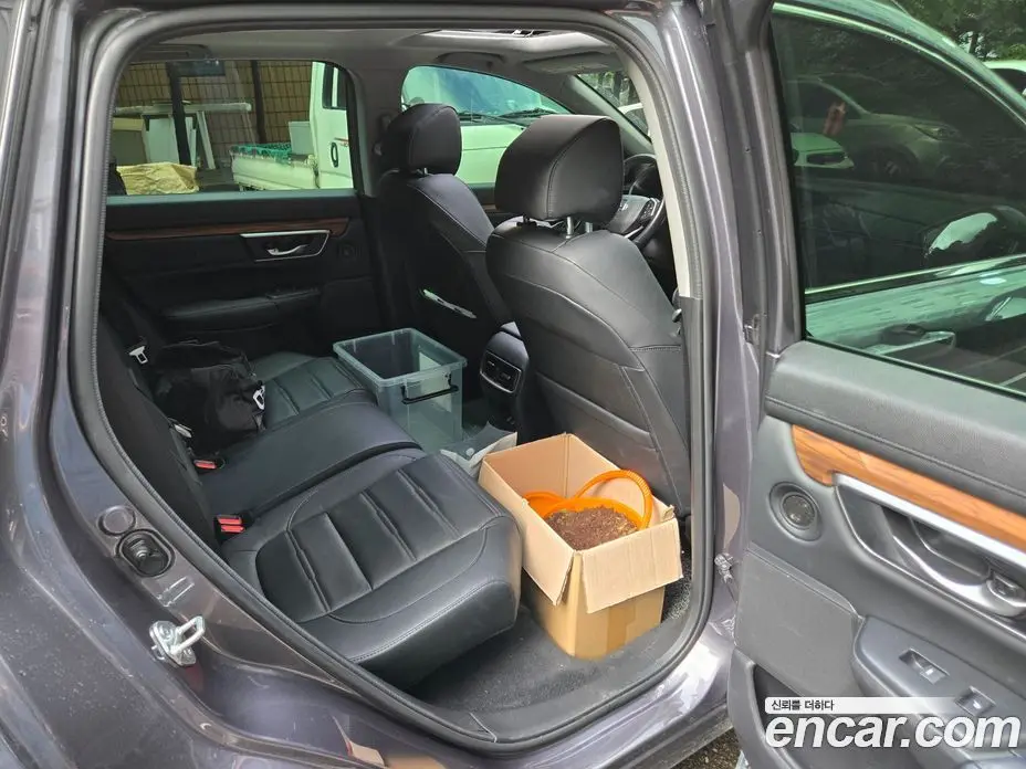Honda CR-V 2022 2.0 автомат (гидро), фото 12