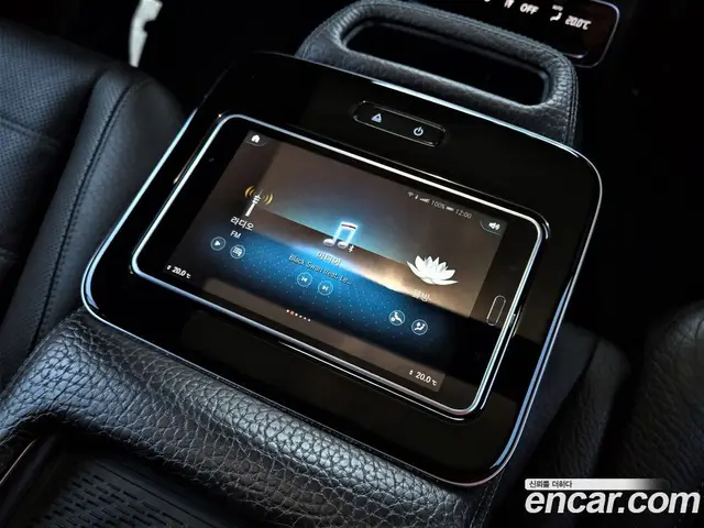 Mercedes-Benz GLS-Class 2021 4.0 автомат (гидро), миниатюра 11