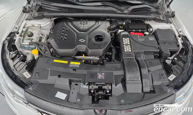 Renault (Samsung) SM6 2019 2.0 автомат (гидро), миниатюра 6