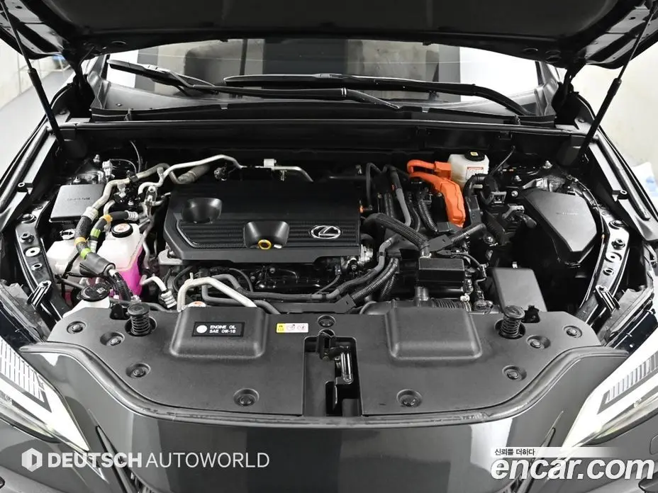 Lexus NX 2023 2.5 автомат (гидро), фото 18