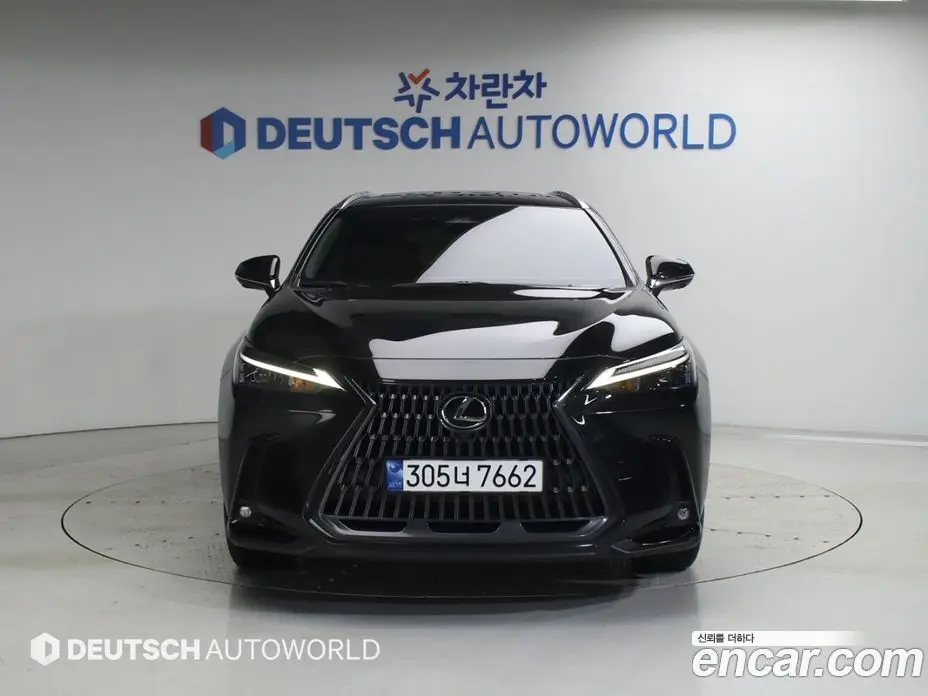 Lexus NX 2023 2.5 автомат (гидро), фото 3