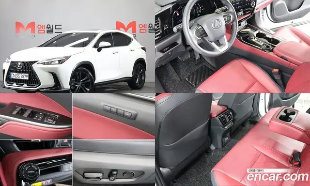 Lexus NX, 2025, 4 931 км
