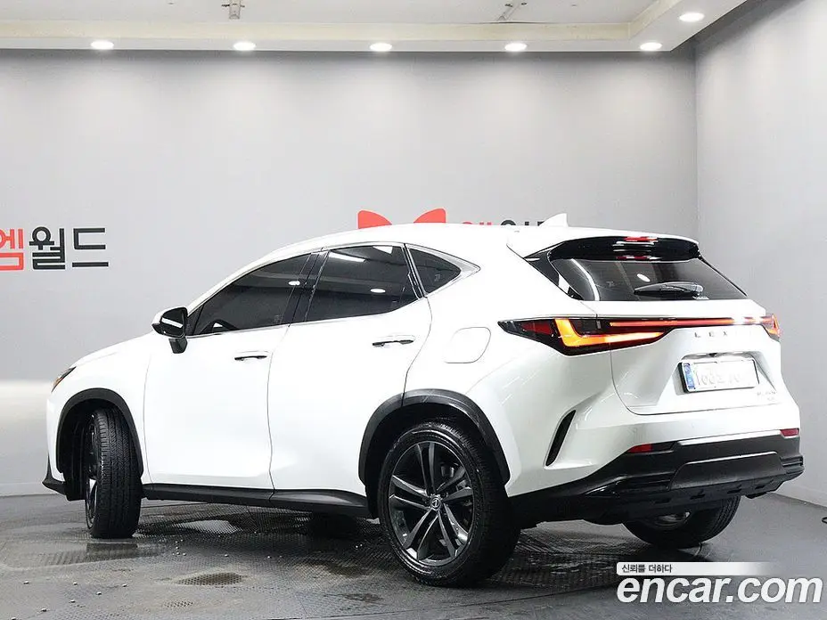 Lexus NX 2025 2.5 автомат (гидро), фото 4