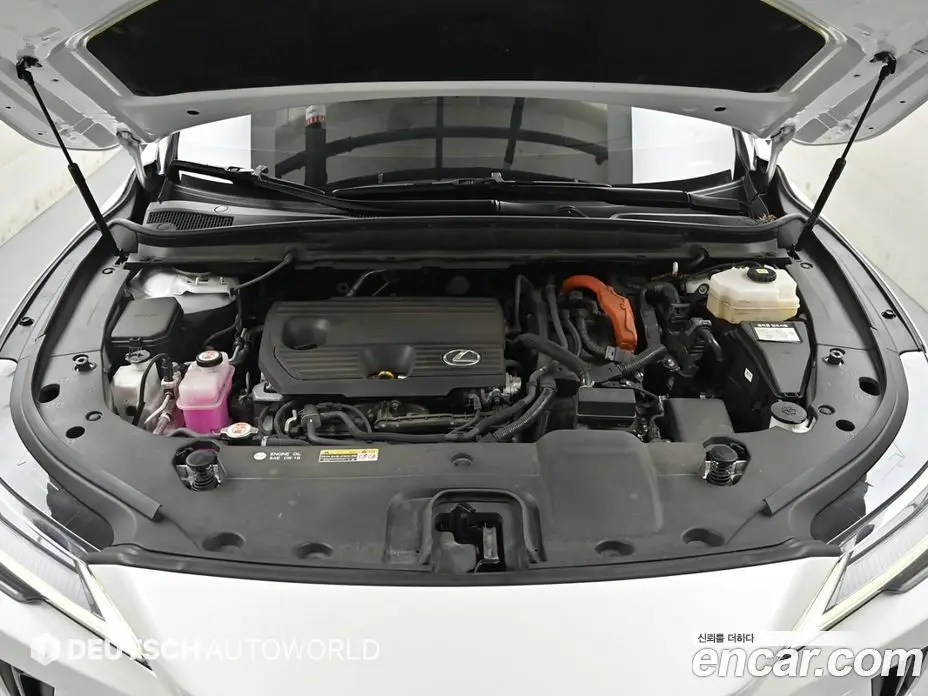 Lexus RX 2024 2.5 автомат (гидро), фото 6
