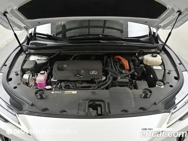 Lexus RX 2024 2.5 автомат (гидро), миниатюра 6