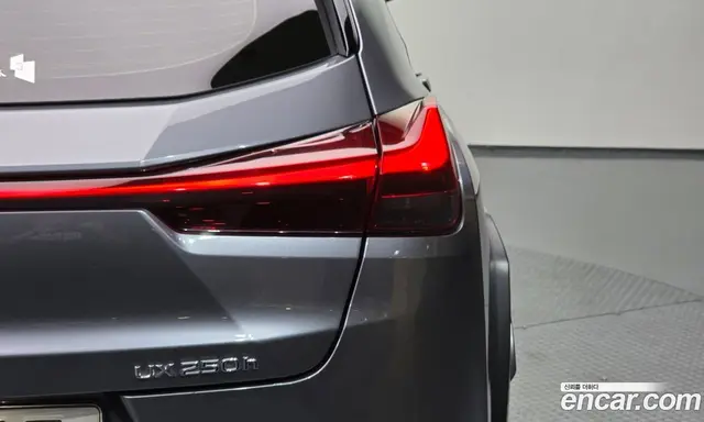 Lexus UX 2019 2.0 автомат (гидро), миниатюра 9