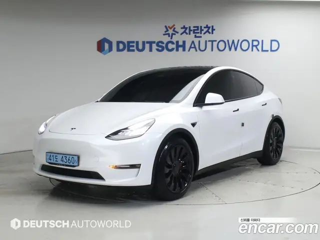 Tesla Model Y 2021 0.2 автомат (гидро), миниатюра 2