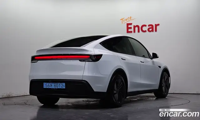 Tesla Model Y, 2025, 4 088 км