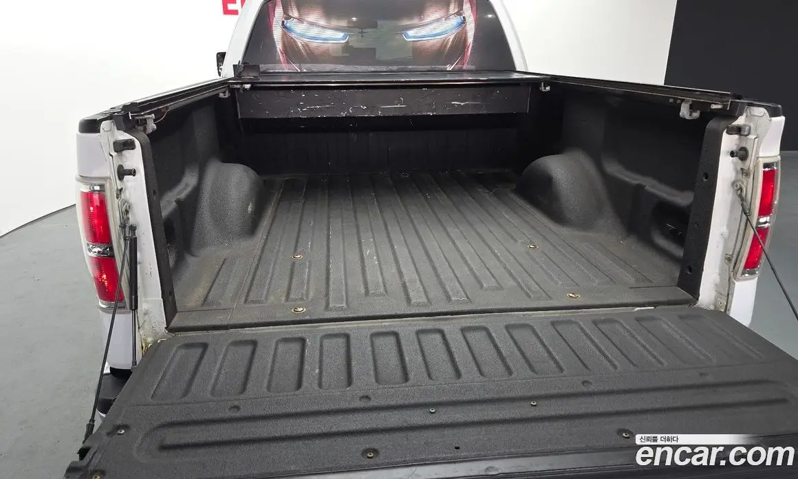 Ford F150 2010 5.4 автомат (гидро), фото 20 Ford F150 2010 5.4 автомат (гидро), фото 20