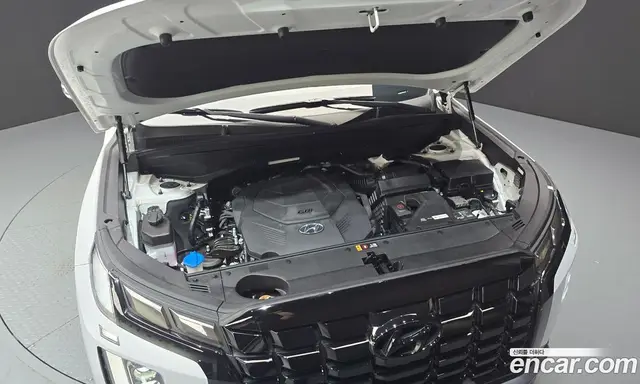 Hyundai Palisade 2022 3.8 автомат (гидро), миниатюра 6