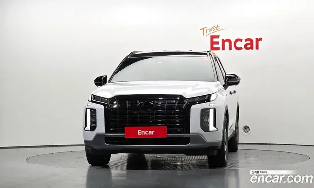 Hyundai Palisade 2024 2.2 автомат (гидро), миниатюра 3