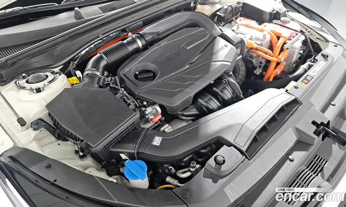 Kia K5 (Optima) 2024 2.0 автомат (гидро), фото 6