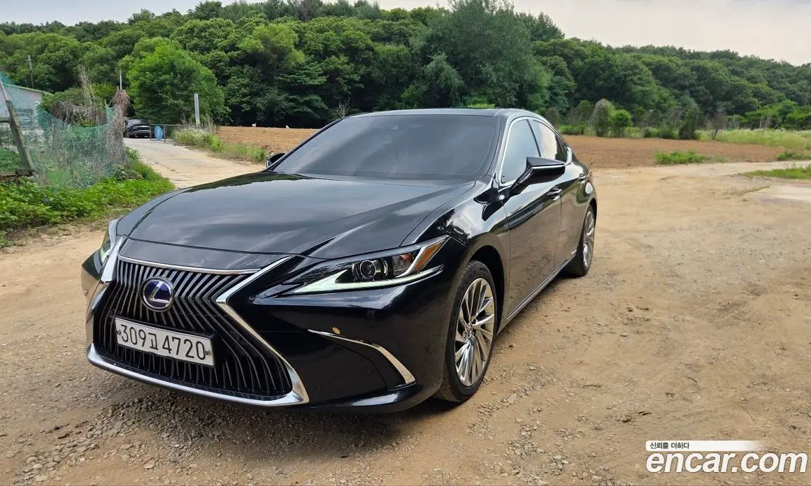 Lexus ES 2020 2.5 автомат (гидро), фото 8