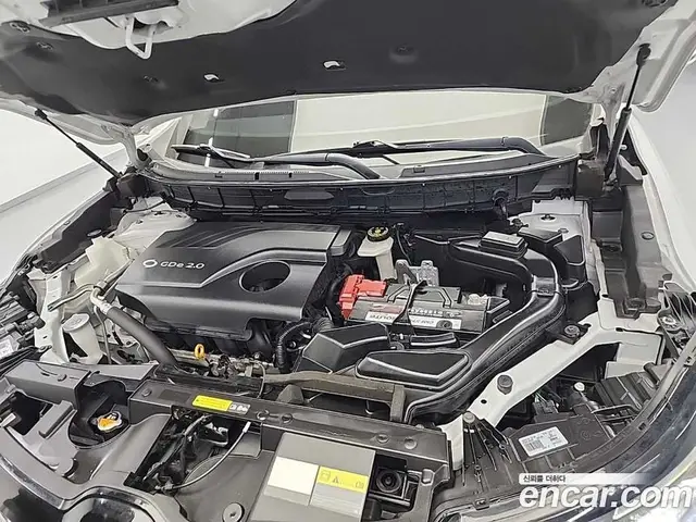 Renault (Samsung) QM6 2019 2.0 автомат (гидро), миниатюра 5