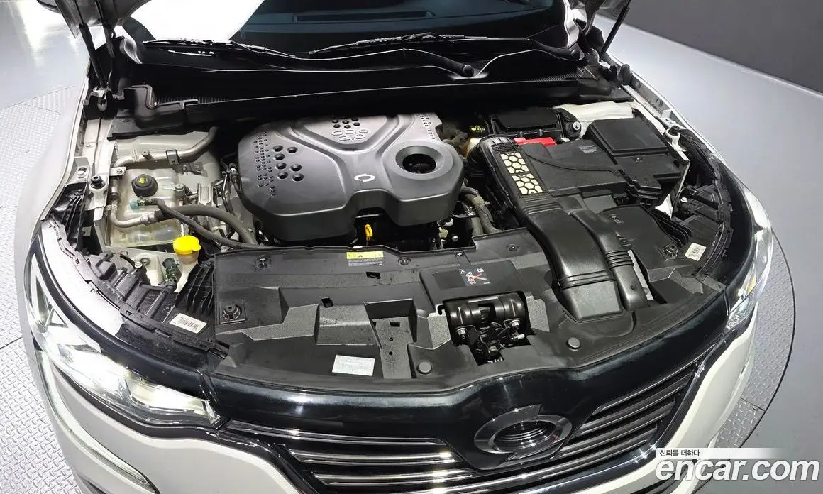 Renault (Samsung) SM6 2018 2.0 автомат (гидро), фото 6