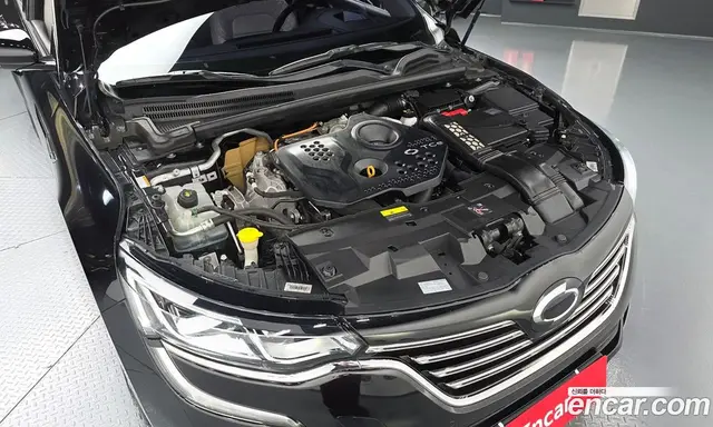 Renault (Samsung) SM6 2019 1.6 автомат (гидро), миниатюра 6 Renault (Samsung) SM6 2019 1.6 автомат (гидро), миниатюра 6
