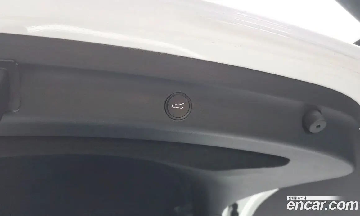 Tesla Model Y 2021 0.2 автомат (гидро), фото 32