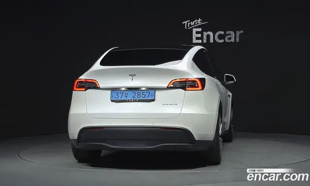 Tesla Model Y 2021 0.2 автомат (гидро), миниатюра 4