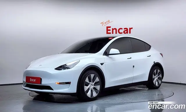 Tesla Model Y, 2021, 125 299 км