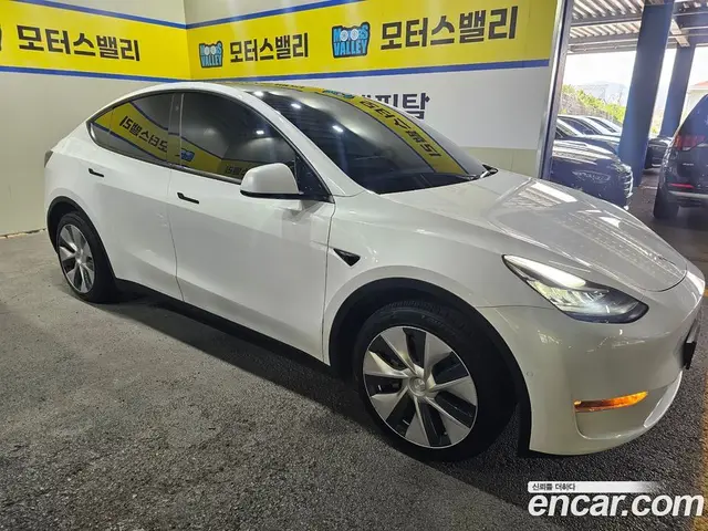 Tesla Model Y 2021 0.2 автомат (гидро), миниатюра 4