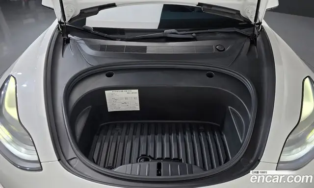 Tesla Model 3 2021 0.2 автомат (гидро), миниатюра 6