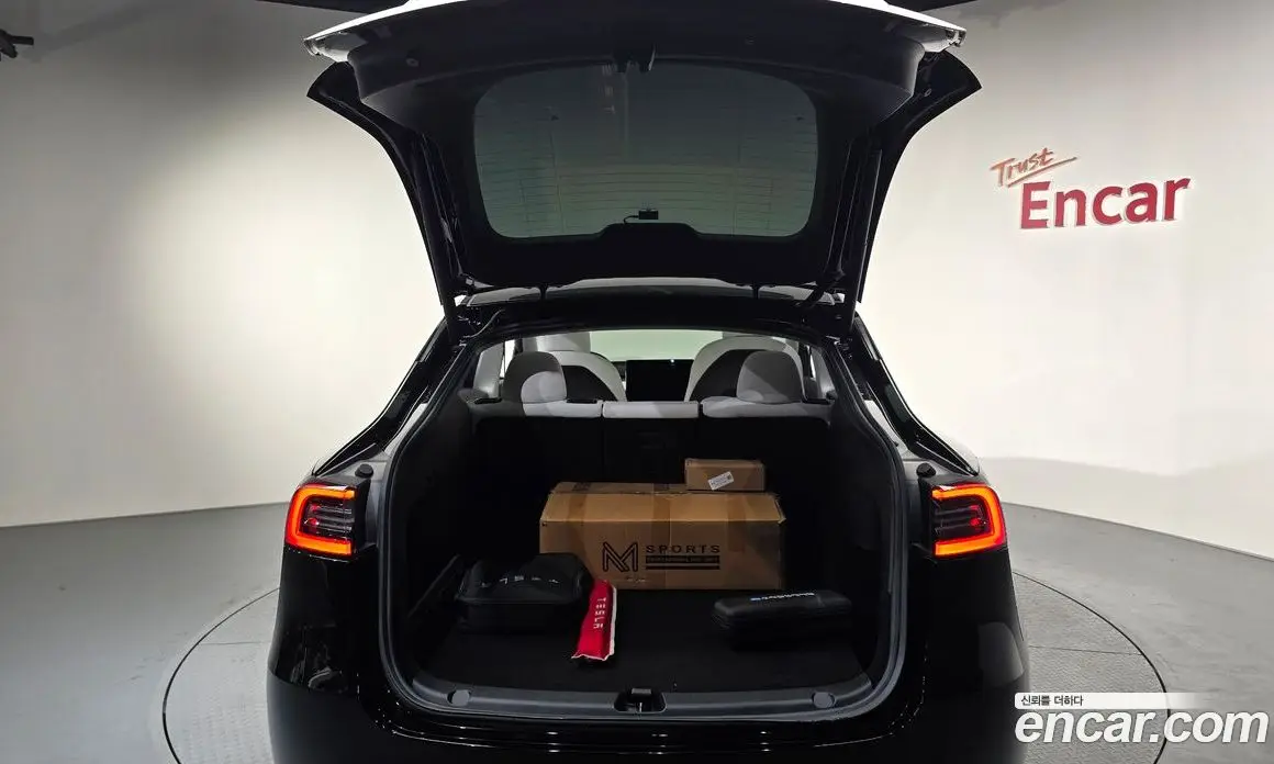 Tesla Model Y 2021 0.2 автомат (гидро), фото 24