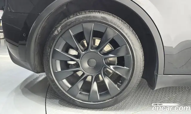 Tesla Model Y 2021 0.2 автомат (гидро), миниатюра 4