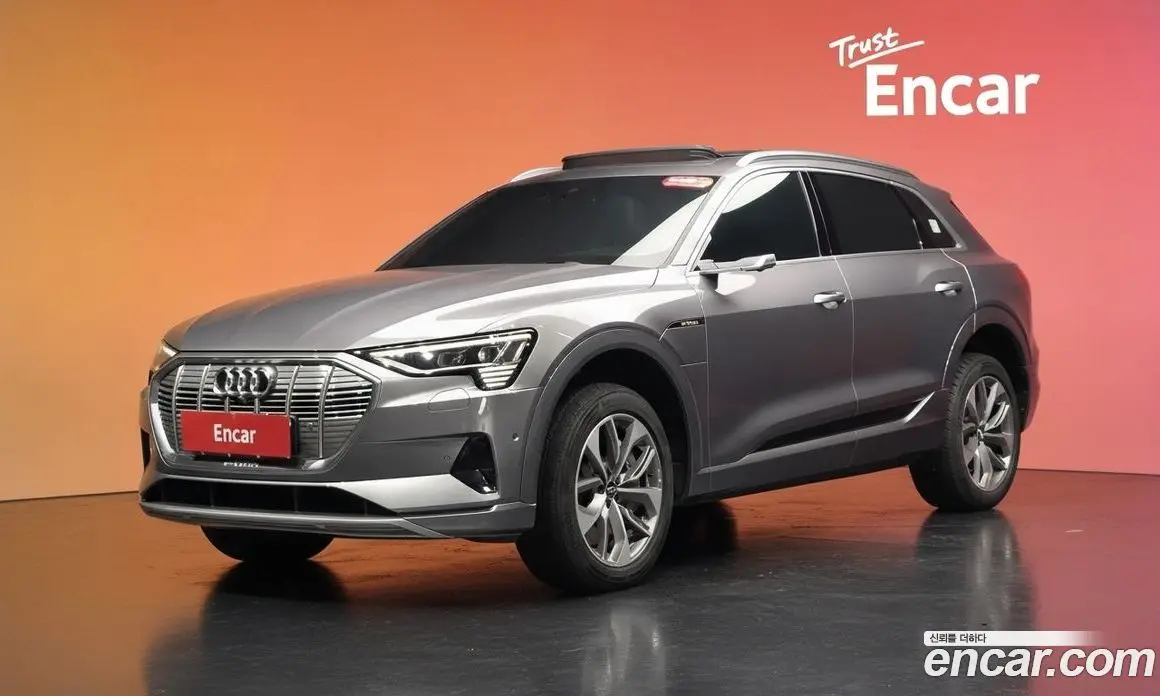 Audi e-tron 2020 0.2 автомат (гидро), фото 39