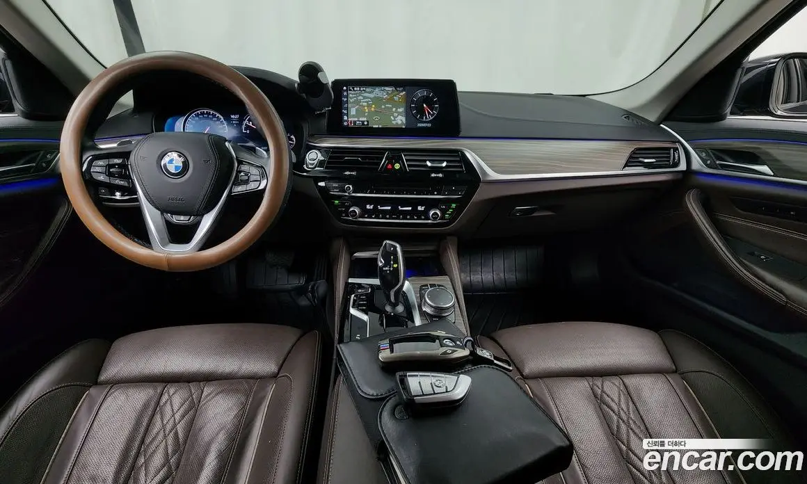 BMW 5 серия 2018 2.0 автомат (гидро), фото 10
